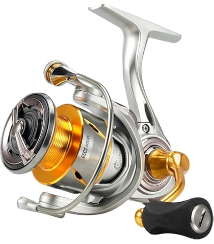 SHIMANO 21 Stradic SW 5000XG, rullo per acqua salata : Amazon.it